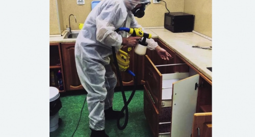 Уничтожение насекомых в квартире. Дзержинский