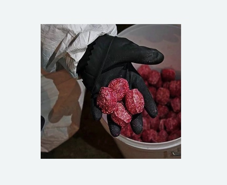 Обработка от крыс в Дзержинском