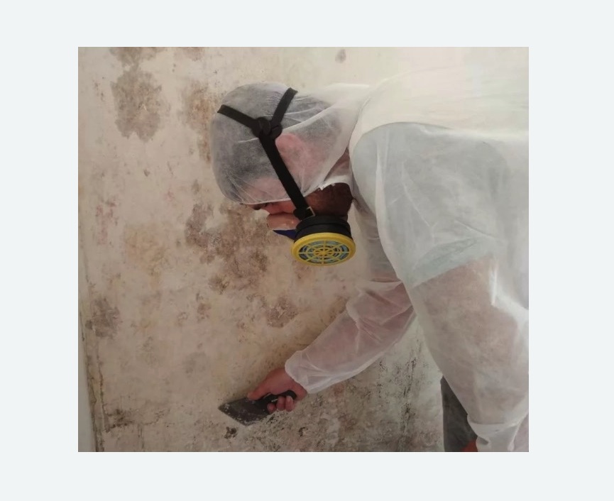 Обработка стен от плесени Обработка стен от плесени в Дзержинском