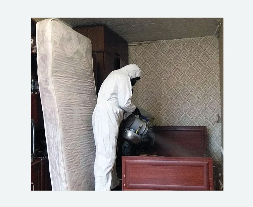 дезинфекция от клопов в Дзержинском