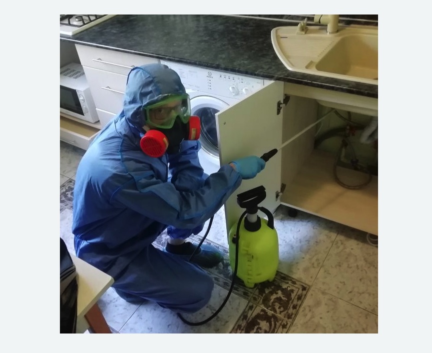 обработка от муравьев в квартире в Дзержинском