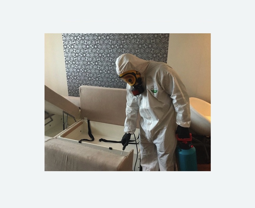 уничтожение клопов в квартире в Дзержинском