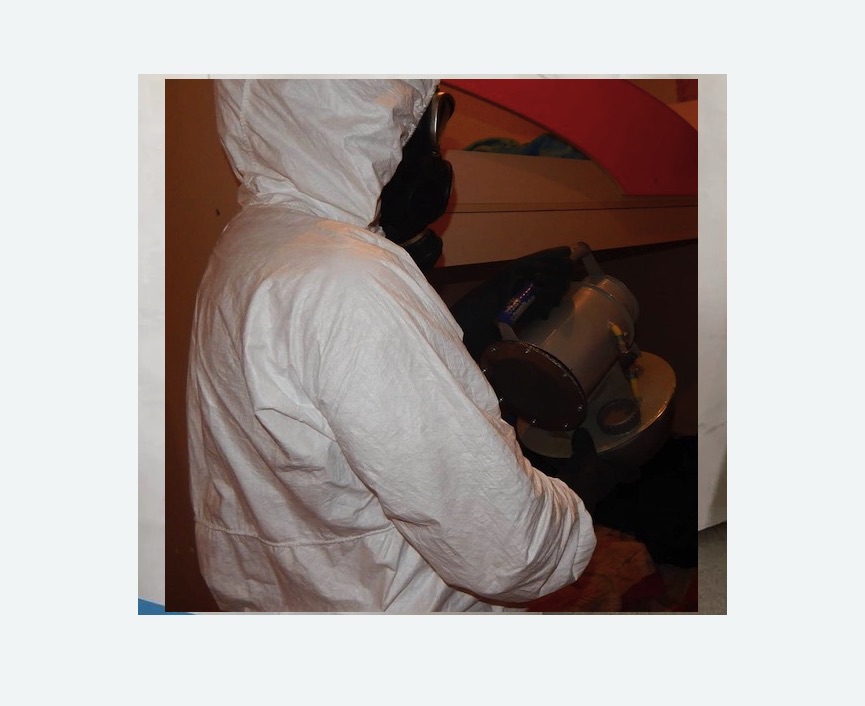 Дезинфекция от муравьев в Дзержинском