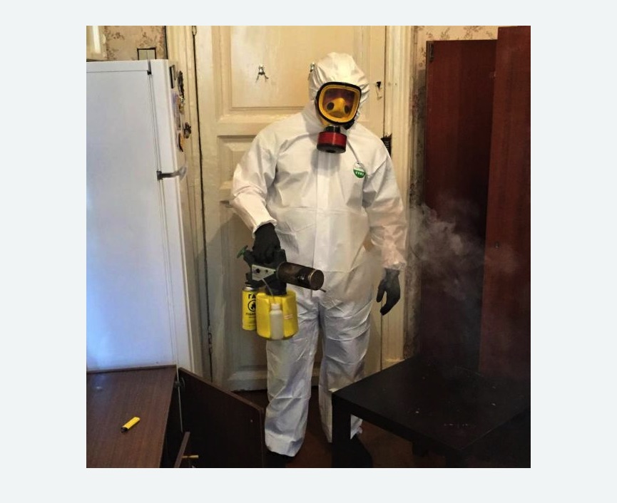 уничтожение муравьев в квартире в Дзержинском